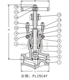 壓力自緊閥蓋鍛鋼截止閥結(jié)構(gòu)圖