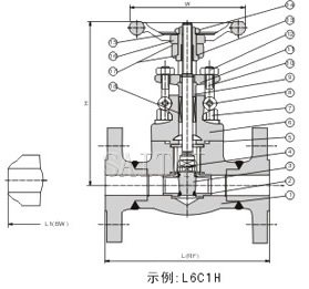 鍛鋼法蘭截止閥結(jié)構(gòu)圖