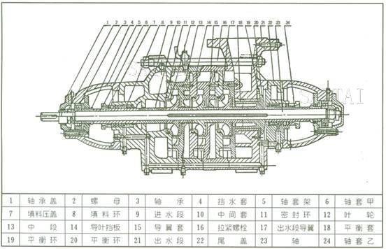 D型多級泵結構圖