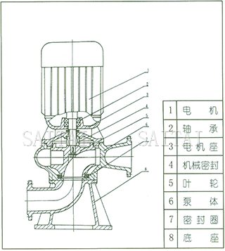 LW型直立式無堵塞排污泵結(jié)構(gòu)圖