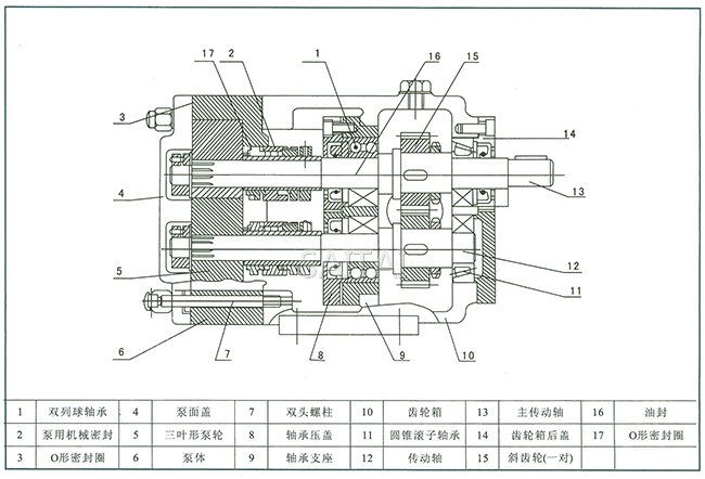 LQ3A型不銹鋼轉(zhuǎn)子泵結(jié)構(gòu)圖