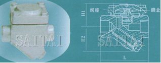 高溫高壓膜盒式蒸汽疏水閥結(jié)構(gòu)圖2