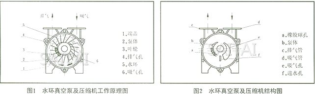 SK真空泵結(jié)構(gòu)圖1